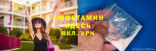 стафф Анжеро-Судженск