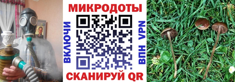 хочу наркоту  ОМГ ОМГ ссылка  Псилоцибиновые грибы мицелий  Усть-Катав 